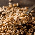 farro monococco farro monococco
